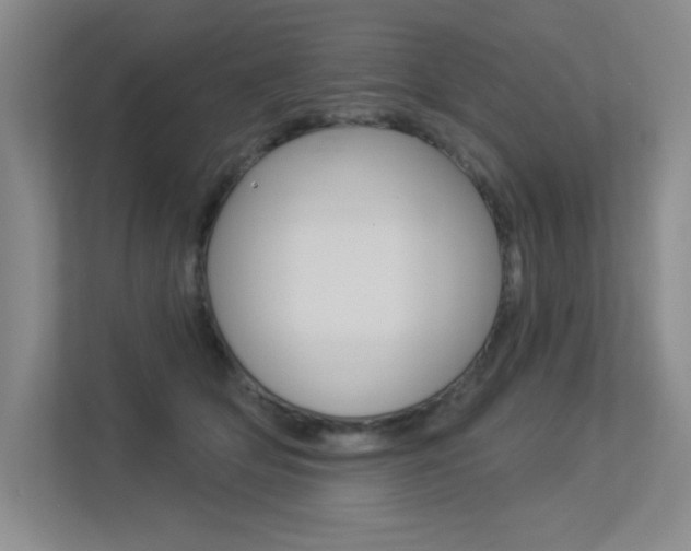 X0000113360514200909151009