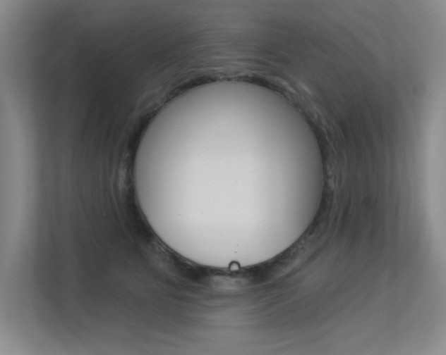 X0000113360515200909151009