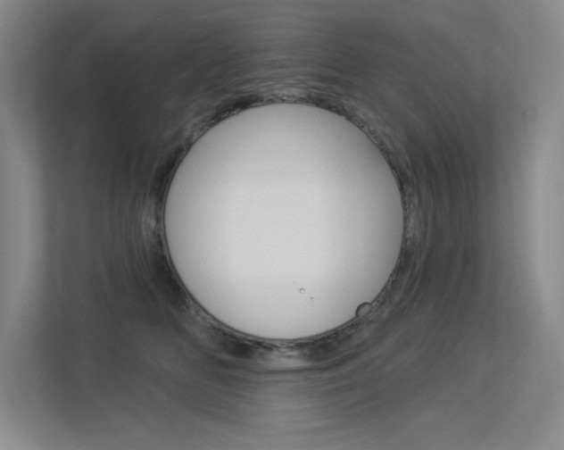 X0000113360518200909151009