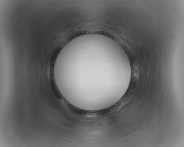 X0000113360519200909151009