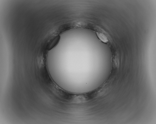 X0000113360520200909151009