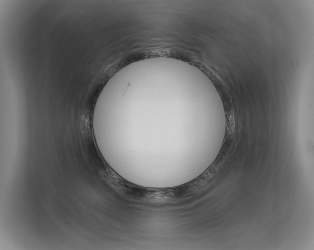 X0000113360522200909151009