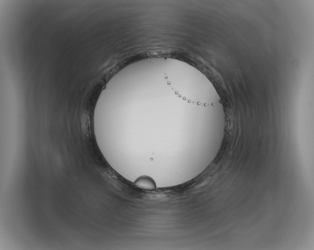 X0000113360523200909151009