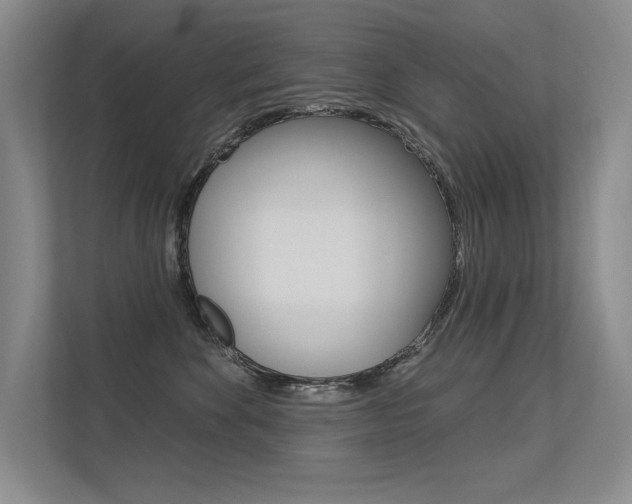 X0000113360524200909151009