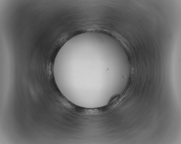X0000113360525200909151009