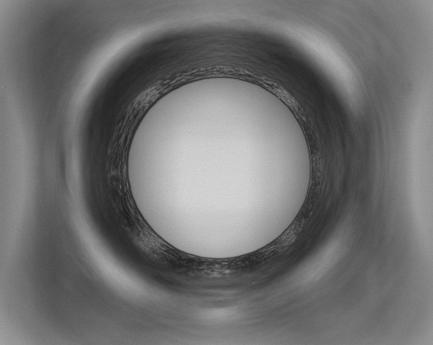 X0000113360526200909151009