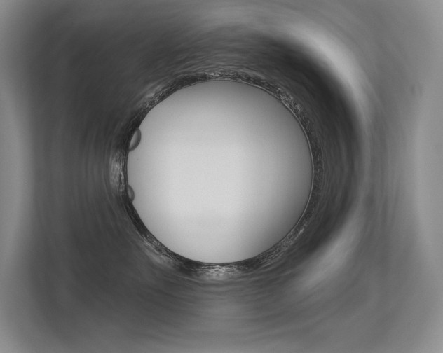 X0000113360527200909151009