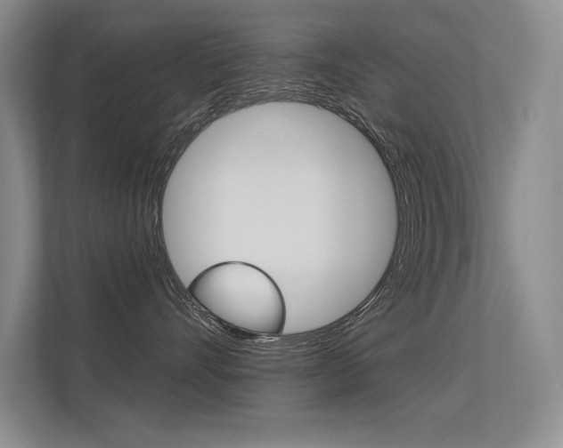 X0000113360528200909151009