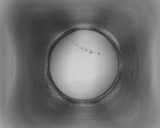 X0000113360529200909151008