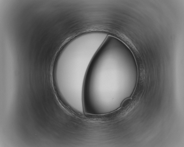 X0000113360530200909151008