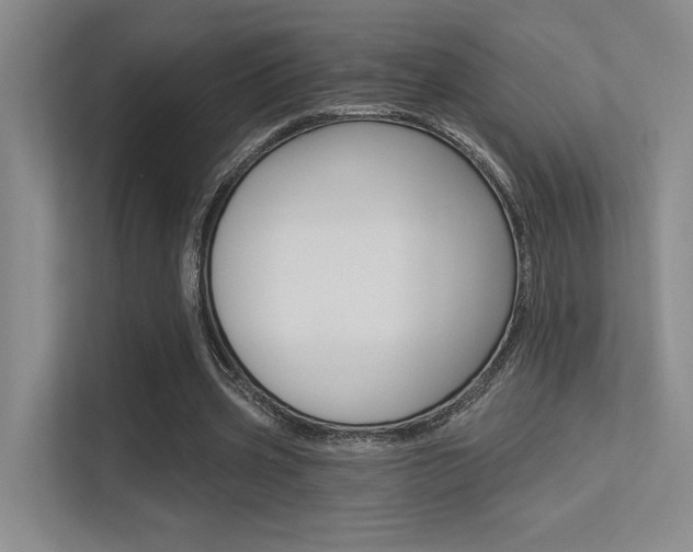 X0000113360533200909151008