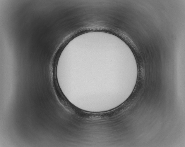 X0000113360534200909151008