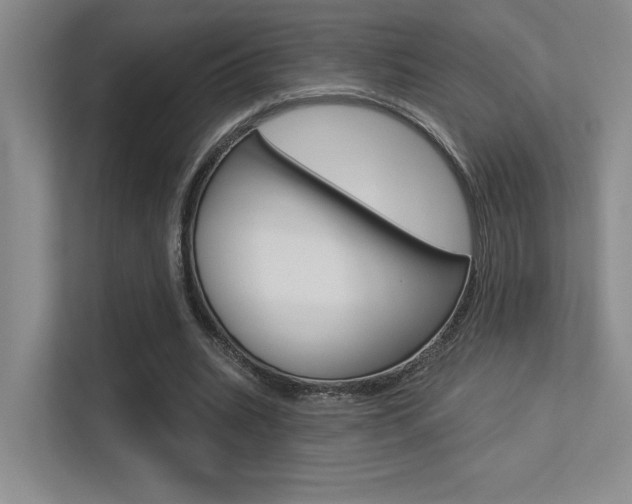 X0000113360535200909151008