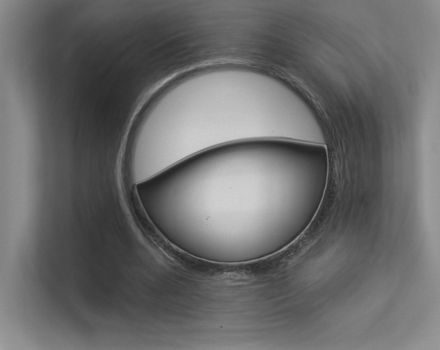 X0000113360536200909151008