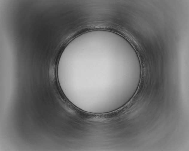 X0000113360537200909151008