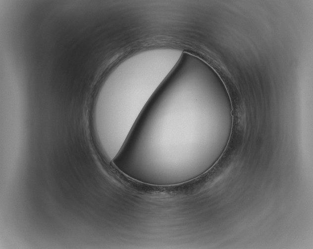 X0000113360538200909151008