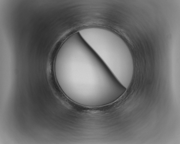 X0000113360539200909151008