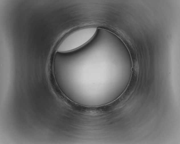 X0000113360540200909151008