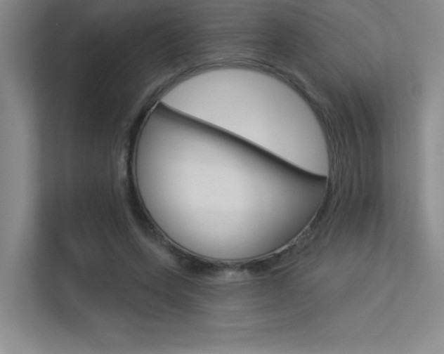 X0000113360543200909151008
