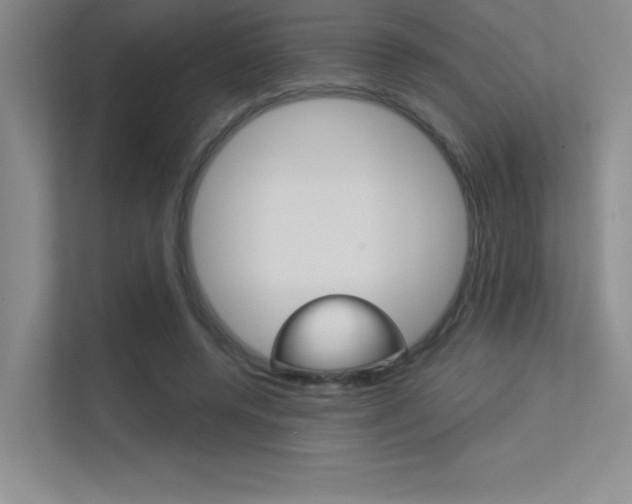 X0000113360544200909151008