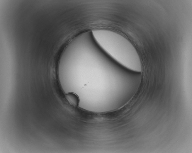 X0000113360547200909151008