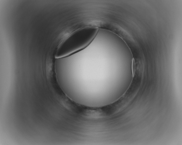 X0000113360548200909151008