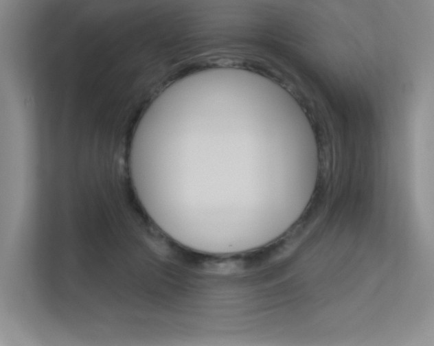 X0000113360553200909151008