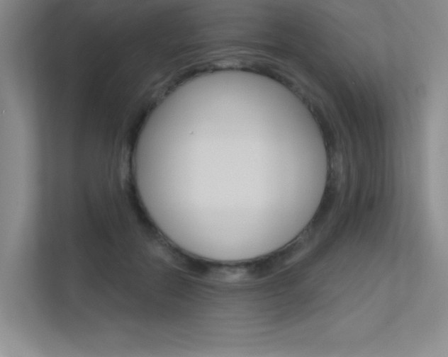 X0000113360554200909151009