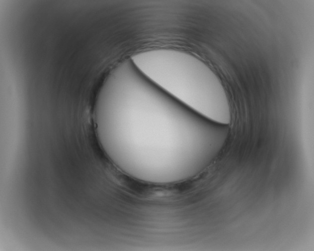 X0000113360555200909151009