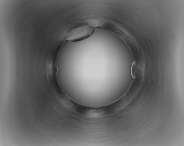 X0000113360556200909151009