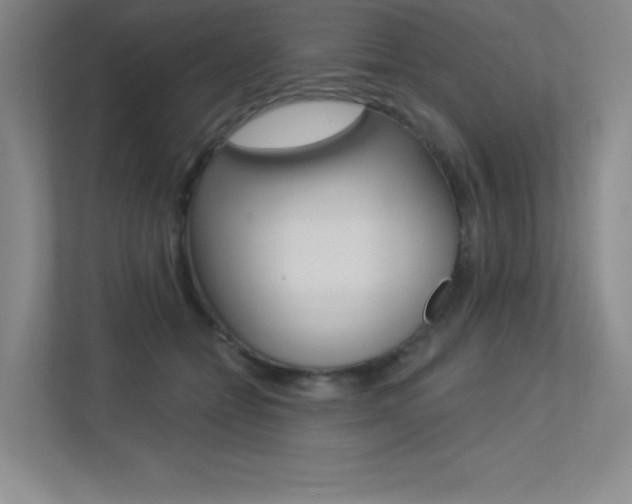 X0000113360558200909151009