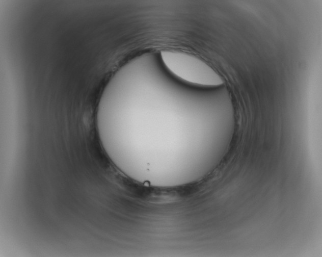 X0000113360559200909151009