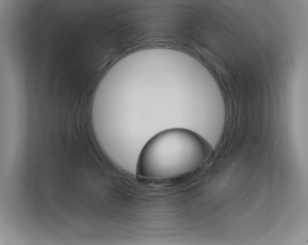 X0000113360560200909151009