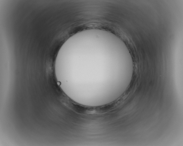 X0000113360561200909151009