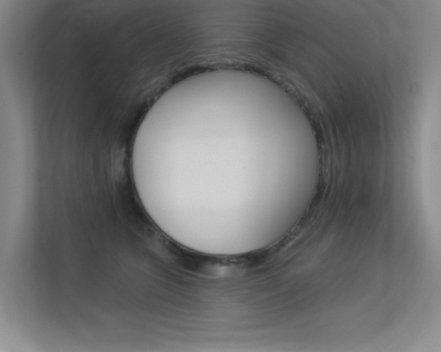 X0000113360563200909151009
