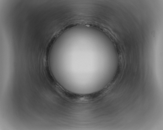 X0000113360564200909151009