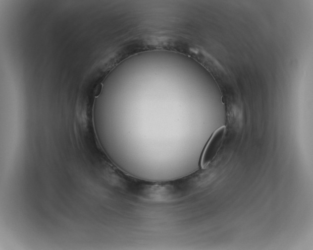 X0000113360566200909151009