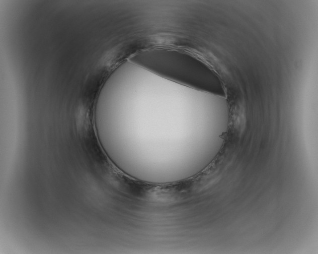 X0000113360568200909151009