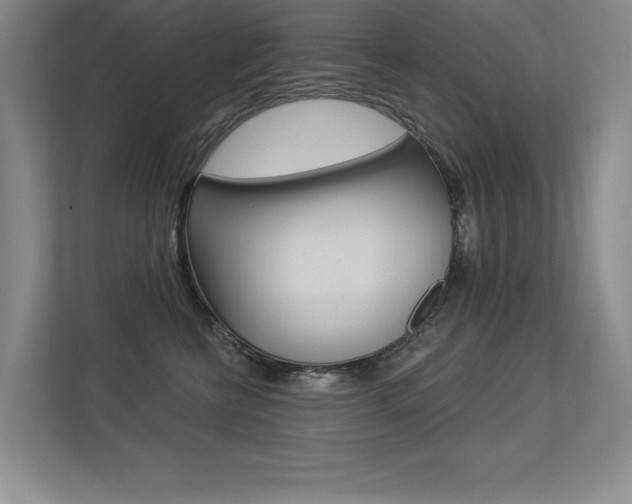 X0000113360570200909151009