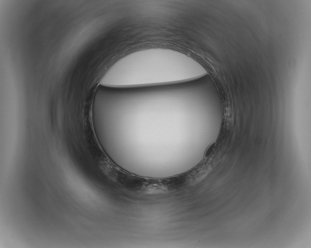X0000113360572200909151009