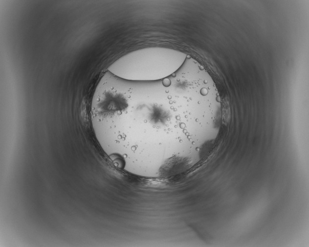 X0000113360573200909151009