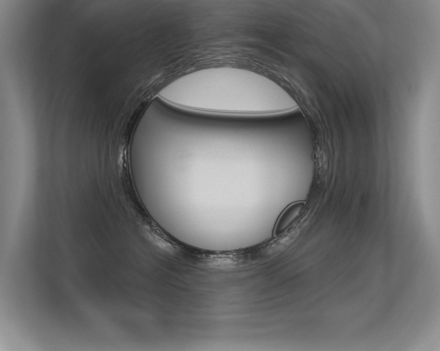 X0000113360574200909151009