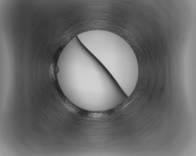 X0000113360575200909151009