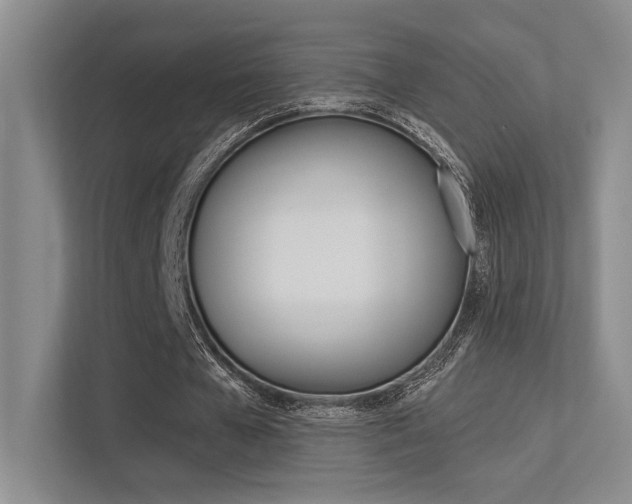 X0000113360577200909151008