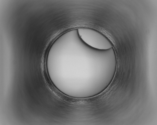 X0000113360578200909151008