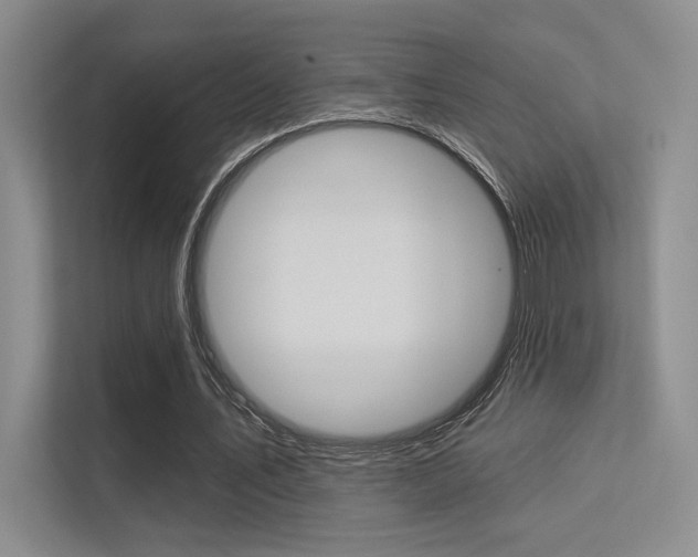 X0000113360579200909151008