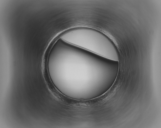 X0000113360580200909151008
