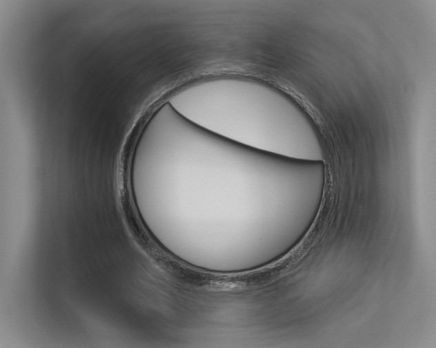 X0000113360582200909151008