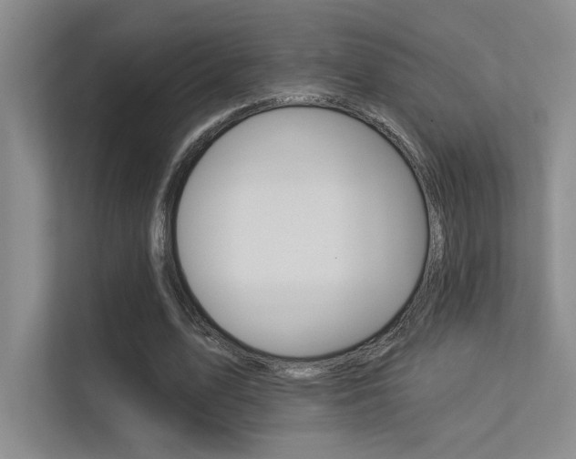 X0000113360583200909151008