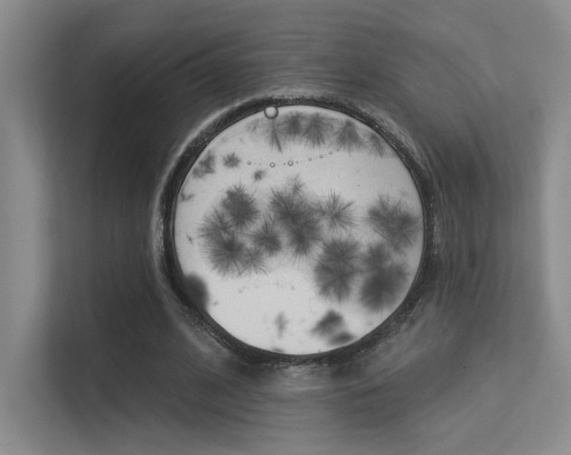 X0000113360584200909151008
